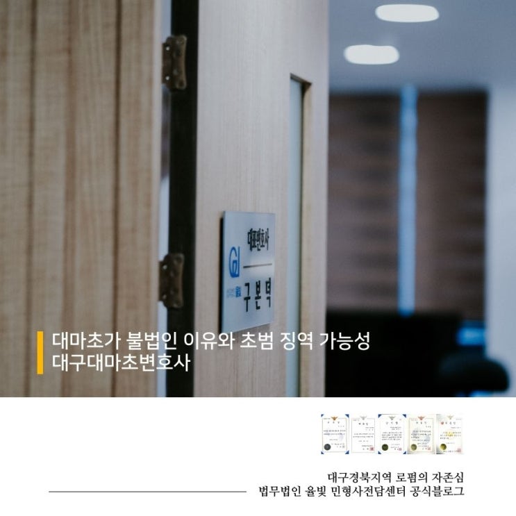  대마초가 불법인 이유와 초범 징역 가능성 대구대마초변호사