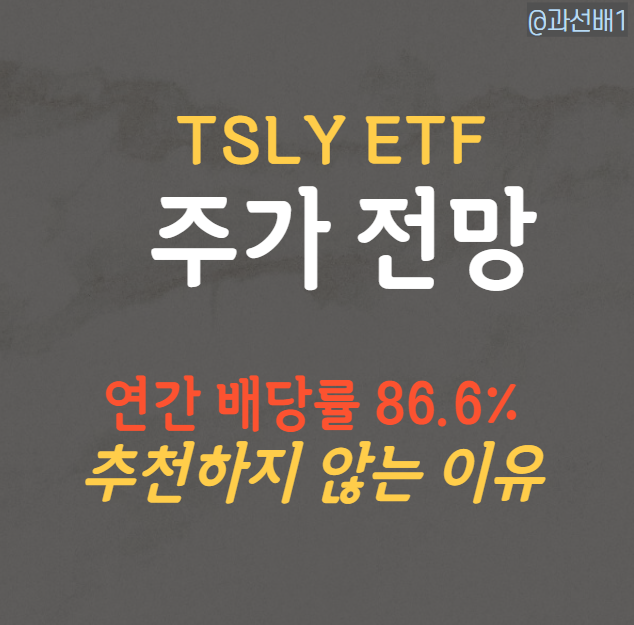  TSLY ETF 주가 전망 - 배당 86%에 투자하지 않는 이유