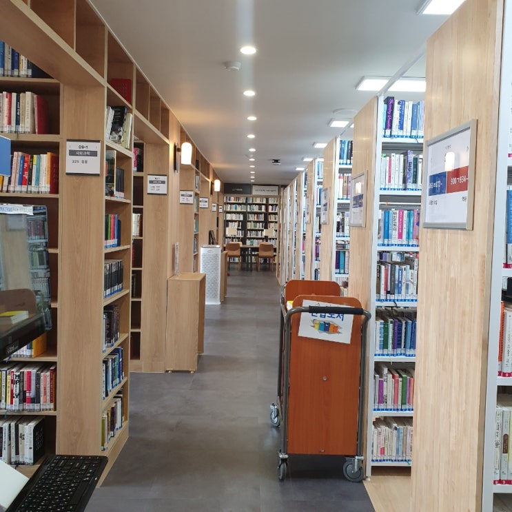  엔살라다에서 점심 샐러드와 강남교육청 도서관에 책 대여하러 방문 (클래식 책 추천^^)