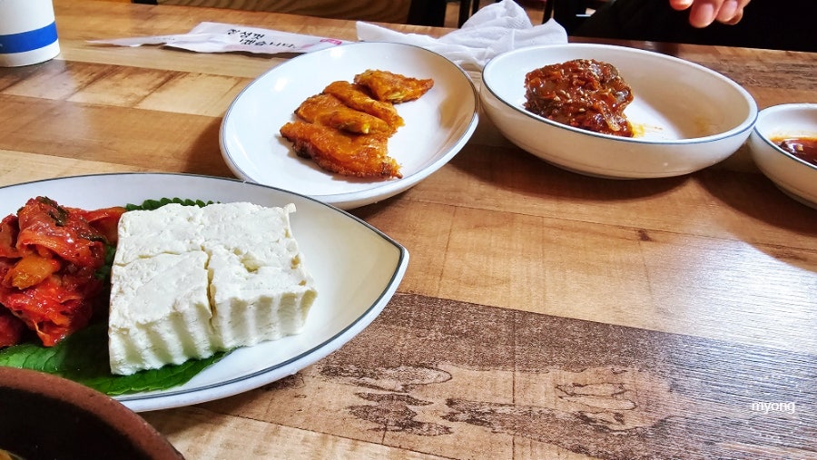 은빛물고기 사진 6