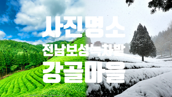 강골 사진 1