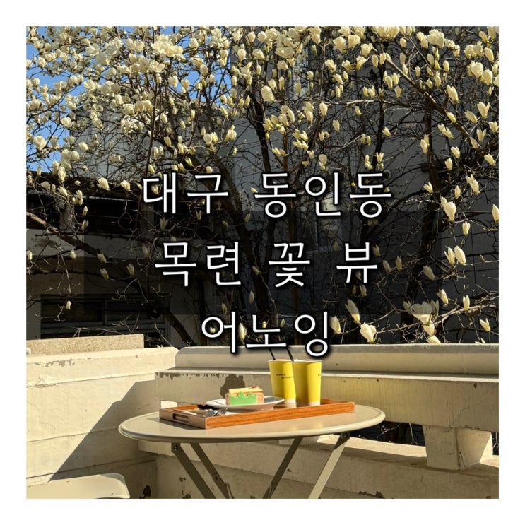  대구 목란 꽃 뷰 카페 | 어노잉