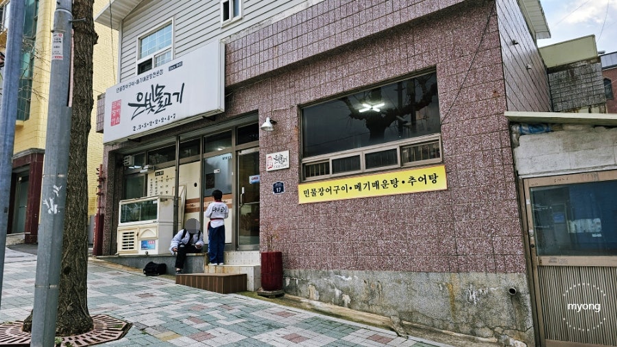은빛물고기 사진 2