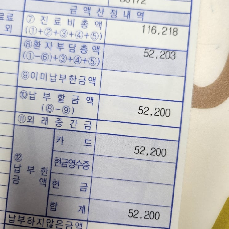  [13주5일] 진료비, 2차 기형아검사 채혈하고 옴.