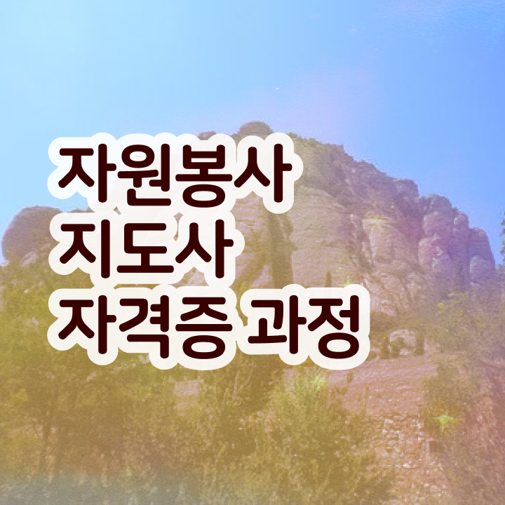  자원봉사지도사  자원봉사지도사 준비 방법  핵심 공개