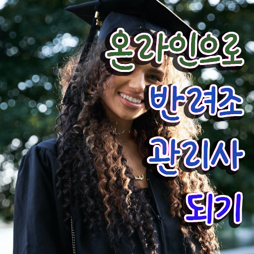  코뉴어앵무새가격  반려조관리사 응시 자격 조건  정보를 알고싶다면