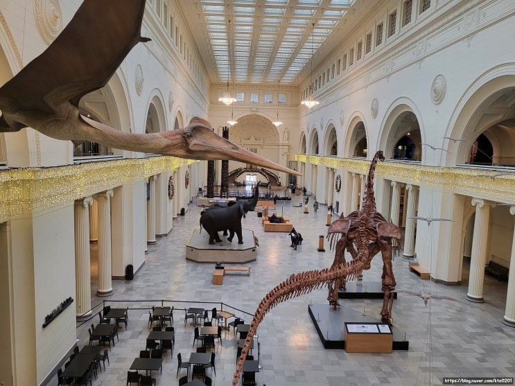 [미국 시카고 자연사 박물관] 공룡 컬렉터 박물관?!, 조금 먼 곳에 있어 살짝 맘먹고 가야 하는 필드 자연사 박물관 탐방기! (Field Museum)