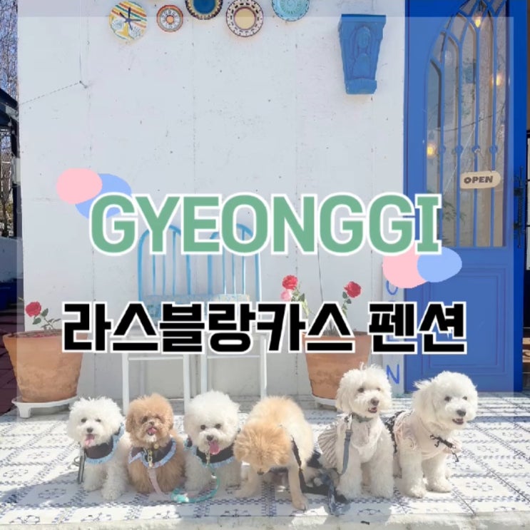  라스블랑카스 / 가평 애견동반 펜션 / 스페인마을 라스블랑카스 / 서울 근교 펜션 추천 / 라스블랑카스 펜션 / 가평 애견동반 / 강아지 모임 펜션 추천 / 강아지 모임