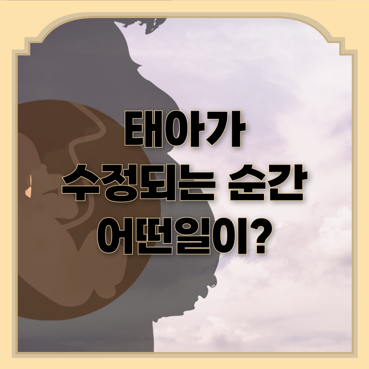  태아가 수정이 되는 순간 어떤 일이?