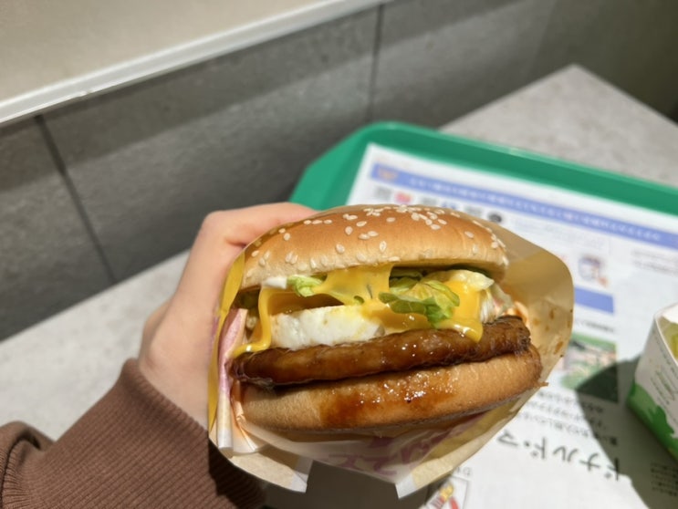  일본 맥도날드 해피밀 신메뉴 테리타마버거 와라비모찌파이