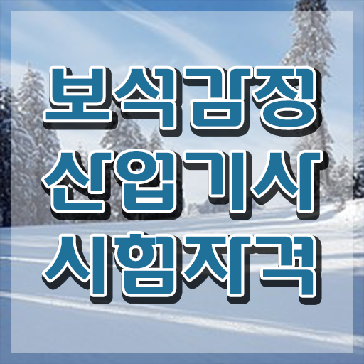  보석감정산업기사 직업   보석감정산업기사  자격증 취득  여기부터 보고가세요