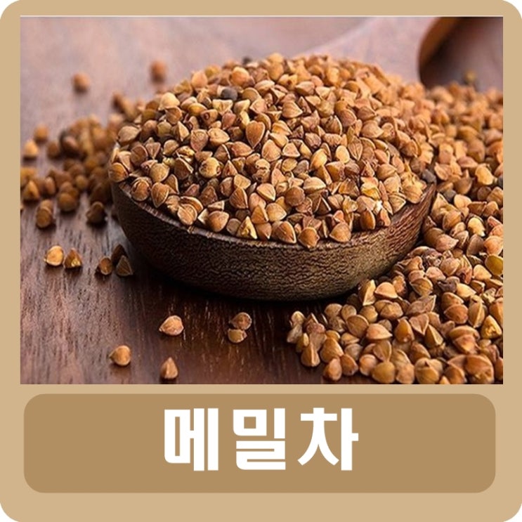  메밀차 효능 부작용 칼로리와 카페인 함유량