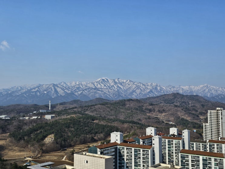  "마리아는 돌아서서 히브리 말로 라뿌니 하고 불렀다 이는 스승님 이라는 뜻이다"  *요한 복음 20장 16절 [나해]_부활 팔일 축제 화요일