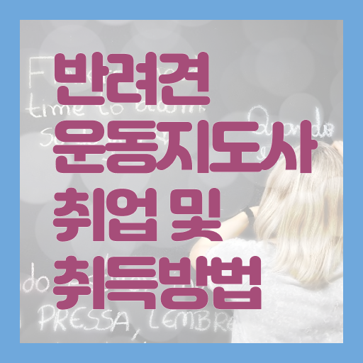  반려견운동지도사 무료 특강  반려견운동지도사 커리큘럼  어렵지 않아요