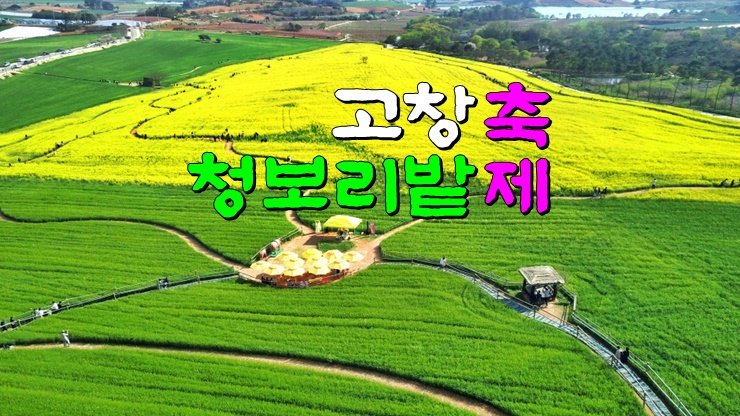 전라도 고창 4월~5월 축제, 2024 고창청보리밭축제 (기본정보, 주차장, 맛집, 유채꽃 도깨비 촬영지) 전라도 고창 4월~5월 축제, 2024 고창청보리밭축제 (기본정보, 주차장, 맛집, 유채꽃 도깨비 촬영지)