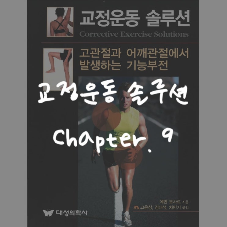  교정운동솔루션 : Chapter 9 - 하지와 고관절 복합체를 위한 움직임 강화와 핵심 패턴