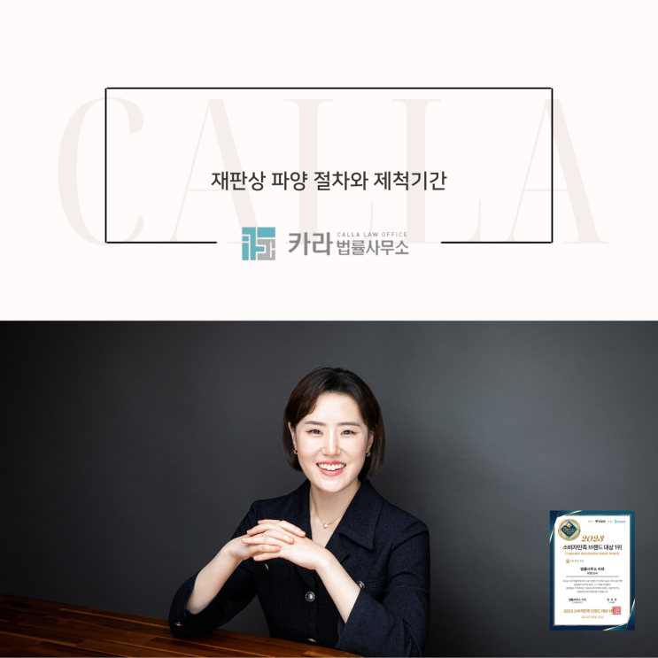  재판상 파양 절차와 제척기간
