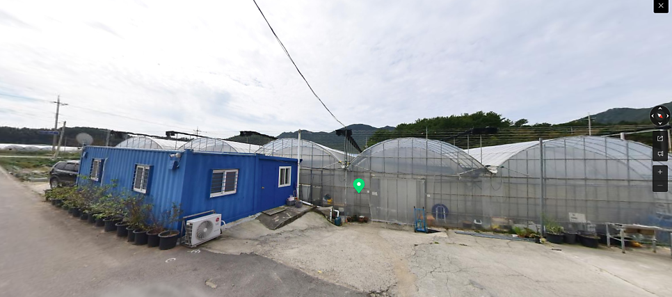 강골 사진 4