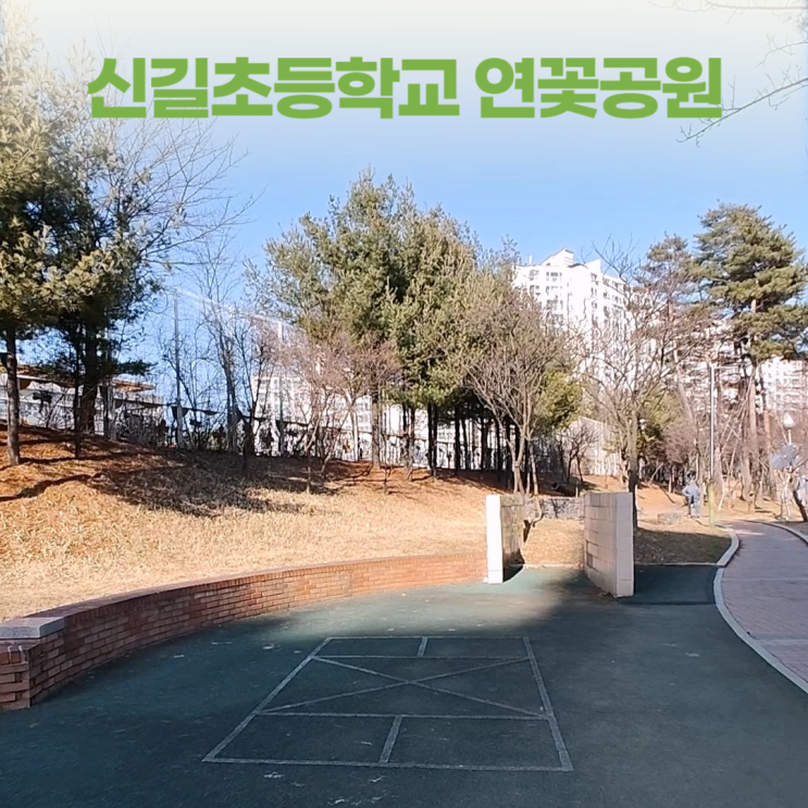 안산 신길초등학교 연꽃없는 연꽃공원 배드민턴장 안산 신길초등학교 연꽃없는 연꽃공원 배드민턴장