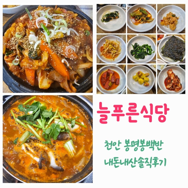  늘푸른식당 충남천안백반집 내돈내산솔직후기