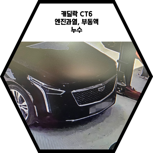  캐딜락 CT6 엔진과열, 부동액 누수 수리