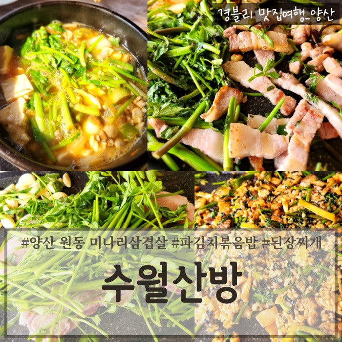  양산 원동 미나리삼겹살 맛집 주말 웨이팅 내돈내산 후기 '수월산방'