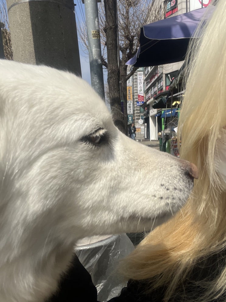  내가 나로 사는 것이 왜 누군가에겐 상처일까요