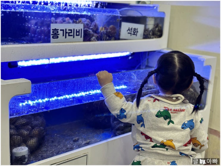  시간제한 없는 김포 무한리필 식당 : 구래동 조개구이 조개정육점 평일 방문 후기