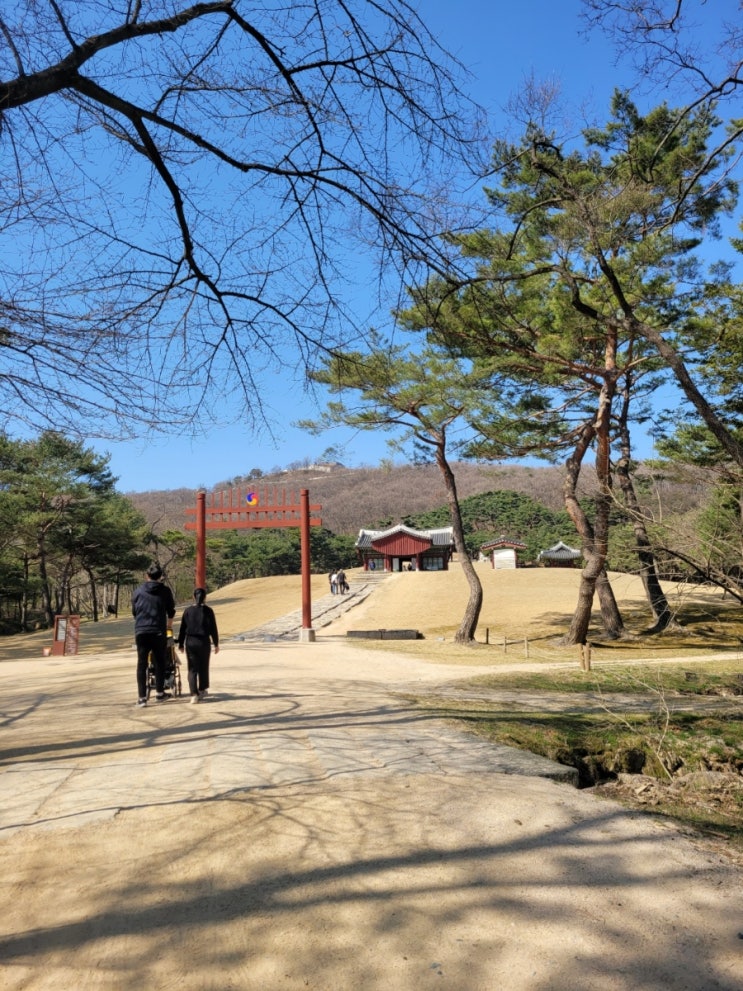 서울근교 아이랑 갈만한곳 김포장릉 역사공부와 둘레길 산책까지