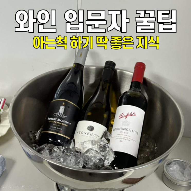  [와인 입문] 와인 마시는 법 3단계 & 꿀팁 / 대형마트 와인 추천