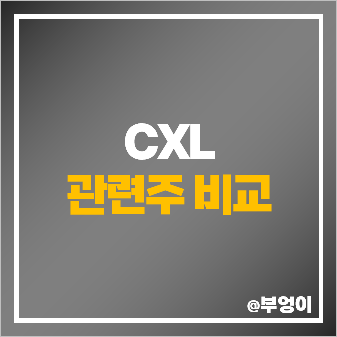 컴퓨트익스프레스링크 CXL 관련주 엑시콘 주식 SK하이닉스 주가 컴퓨트익스프레스링크 CXL 관련주 엑시콘 주식 SK하이닉스 주가