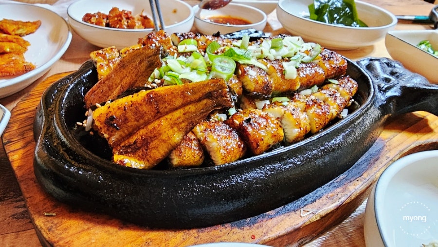 은빛물고기 사진 1
