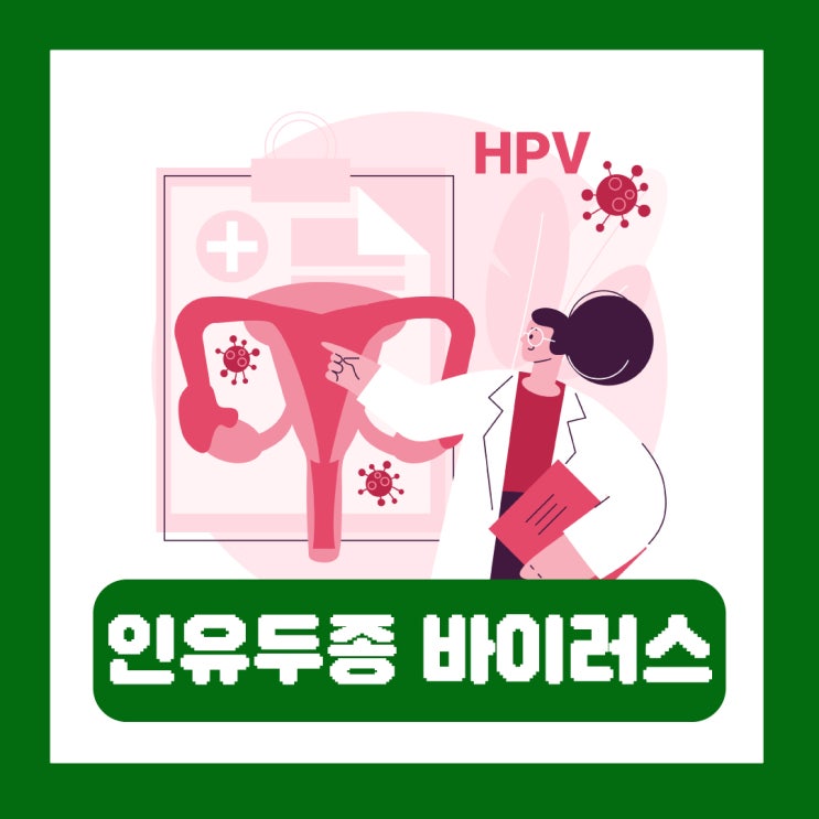  인유두종 바이러스 전염 고위험군 저위험군 HPV 남자 백신