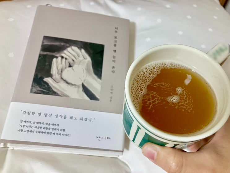  비네스트 흠 스파클링 콤부차 고흥 유자차 제로칼로리 탄산음료추천