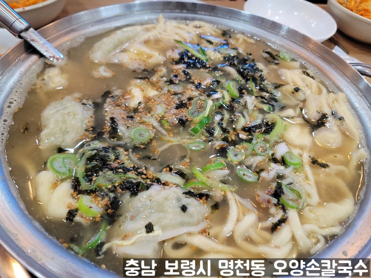 충남 보령시 명천동 3대째 이어오는 전통 칼국수 오양손칼국수 내 돈 내산 후기 충남 보령시 명천동 3대째 이어오는 전통 칼국수 오양손칼국수 내 돈 내산 후기