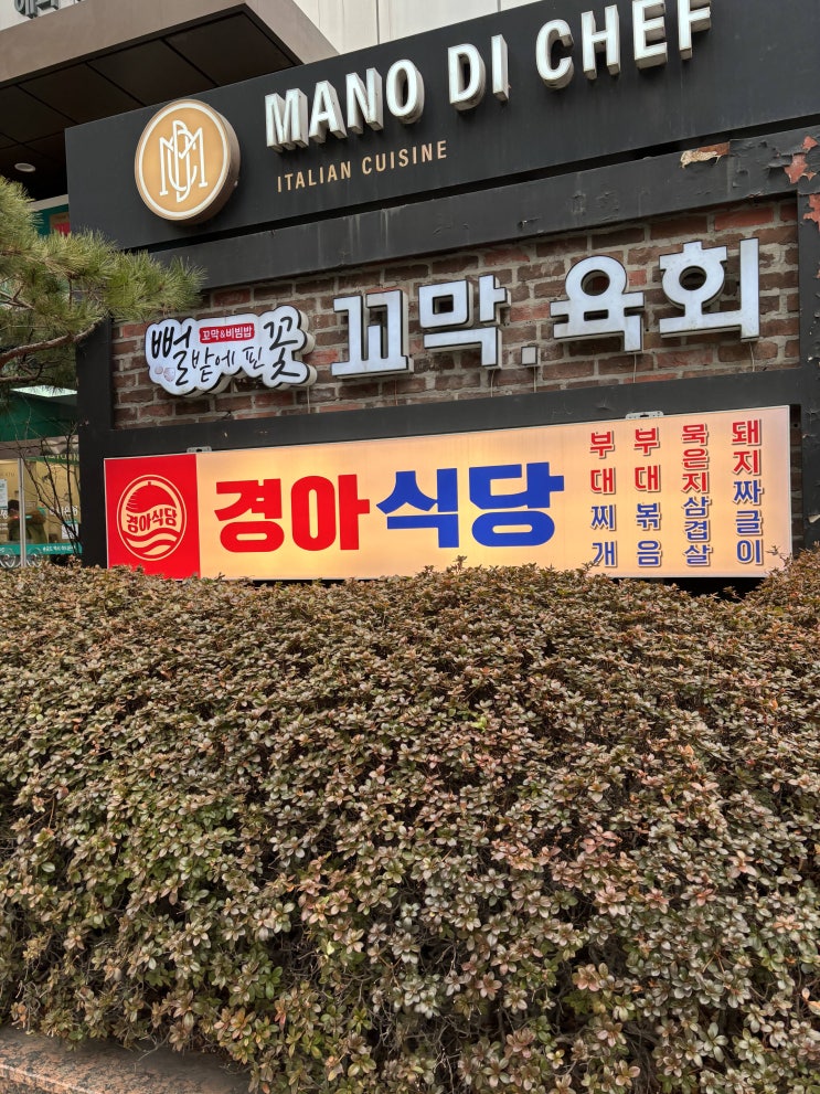  삼성동맛집 경아식당 삼성코엑스점 가성비 회식장소 추천