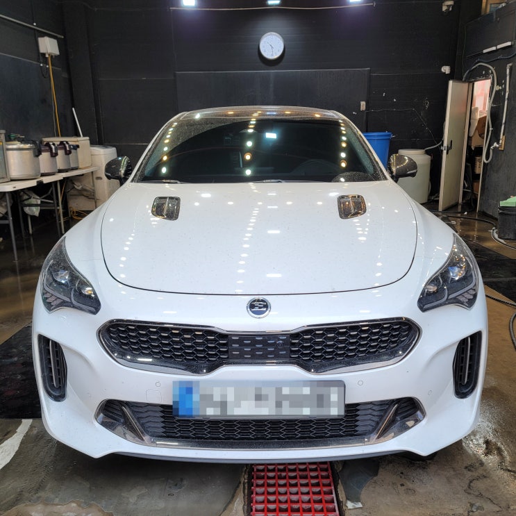  장기동유막제거 벚꽃구경도 유막제거 후 구경!