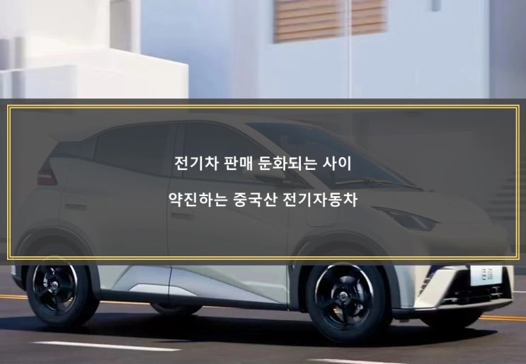  전기차 판매 둔화되는 사이, 약진하는 "중국산 전기자동차"