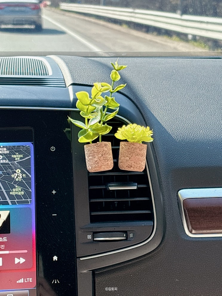 플랜퓸 차랑용 방향제, 차에서 식물 키우기?!