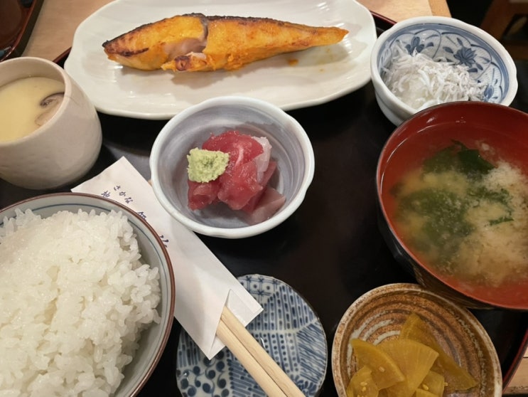 생선이 정말 맛있는 런치정식 도쿄 신바시 마이하마 新橋　舞浜 2024년 3월