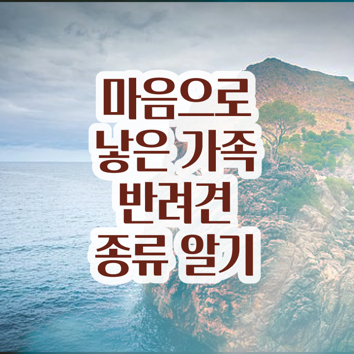  반려동물 인구  반려동물관리사 취득 방법  확인하고 가세요