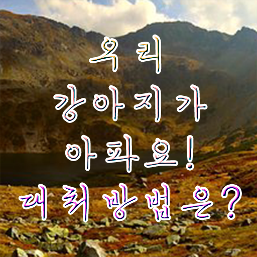  1급반려동물관리사자격증학원  반려동물관리사 종류 및 취득과정  확인하고 가세요