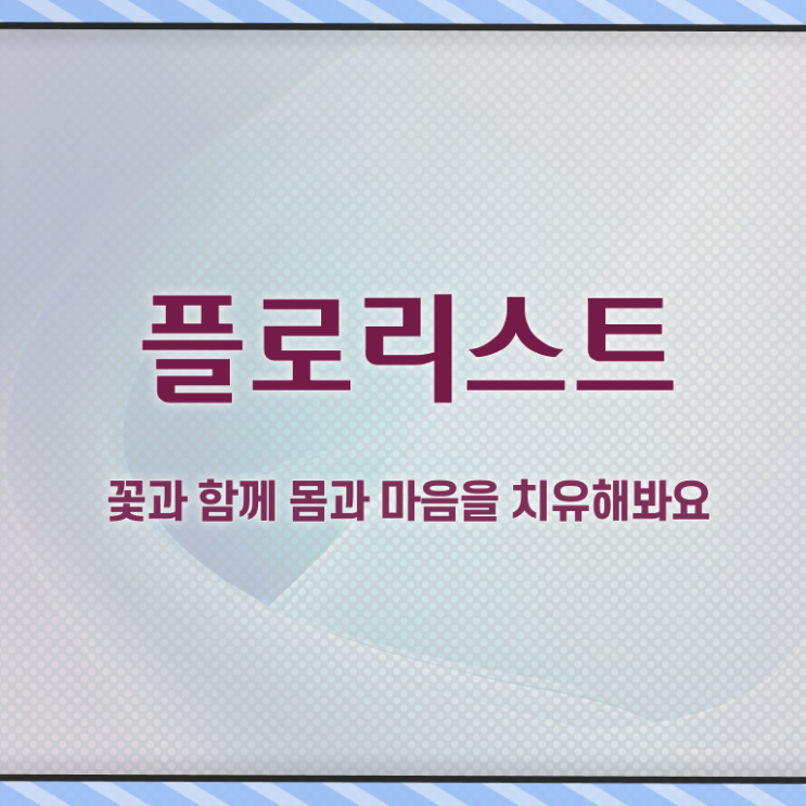  꽃꽂이 원데이클래스  일산꽃꽂이원데이클래스 플로리스트 무료강의 혜택  알려드립니다