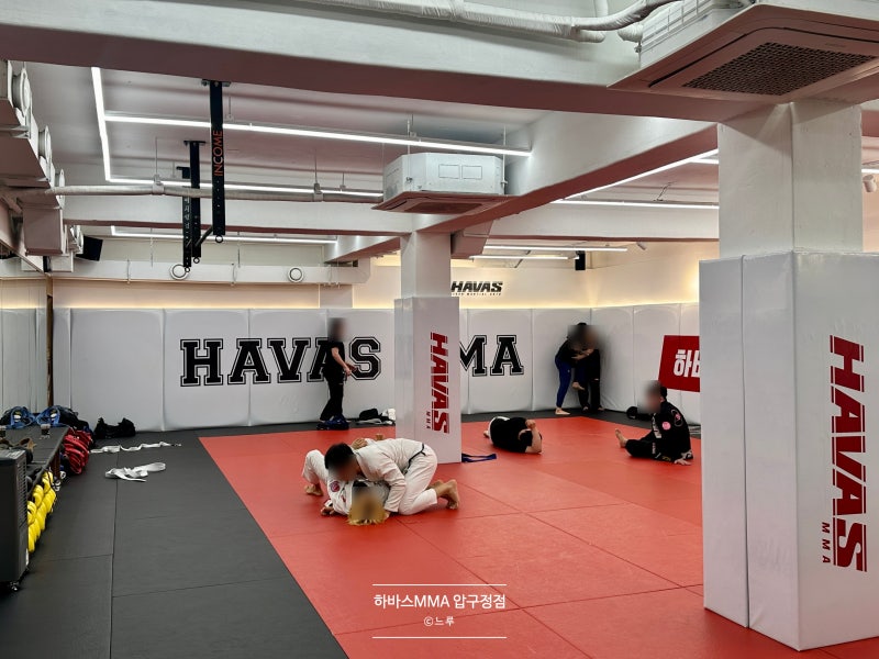 하바스MMA 압구정 :: 김동현 체육관, 선수 출신에게 배우는 안전한 압구정주짓수 여자 수강 후....