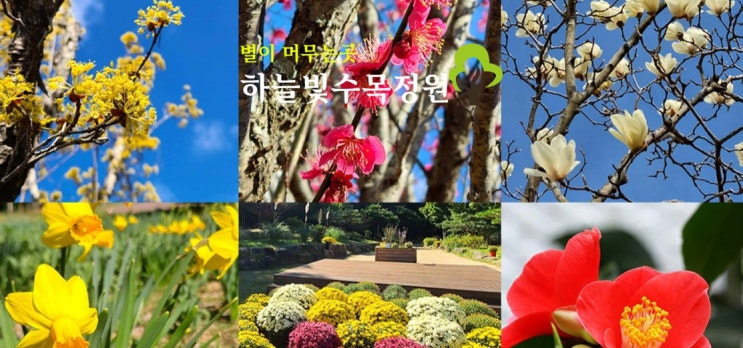  2024하늘빛수목정원 튤립축제 예매 일정 후기