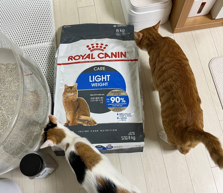  고양이 사료 추천 대용량 로얄캐닌 라이트 웨이트