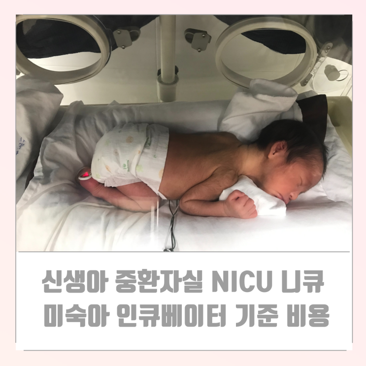 신생아 중환자실 NICU 니큐 미숙아 인큐베이터 기준 비용