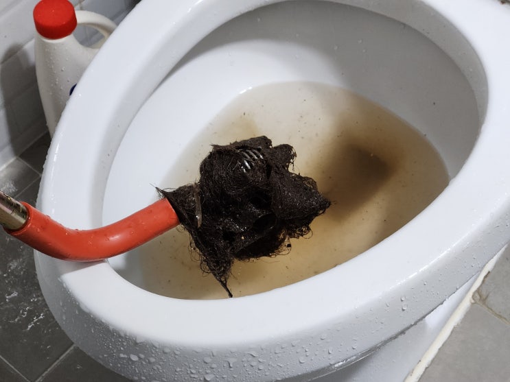  청주변기막힘 생리대, 머리카락으로 막힌 변기 뚫음 제대로 변기 설치하는 법