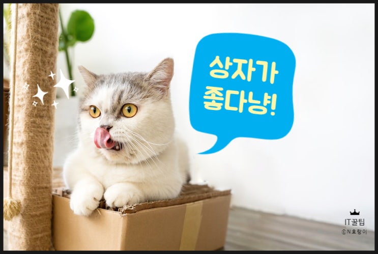 한글 글상자 쉬운 활용법 한글 글상자 쉬운 활용법