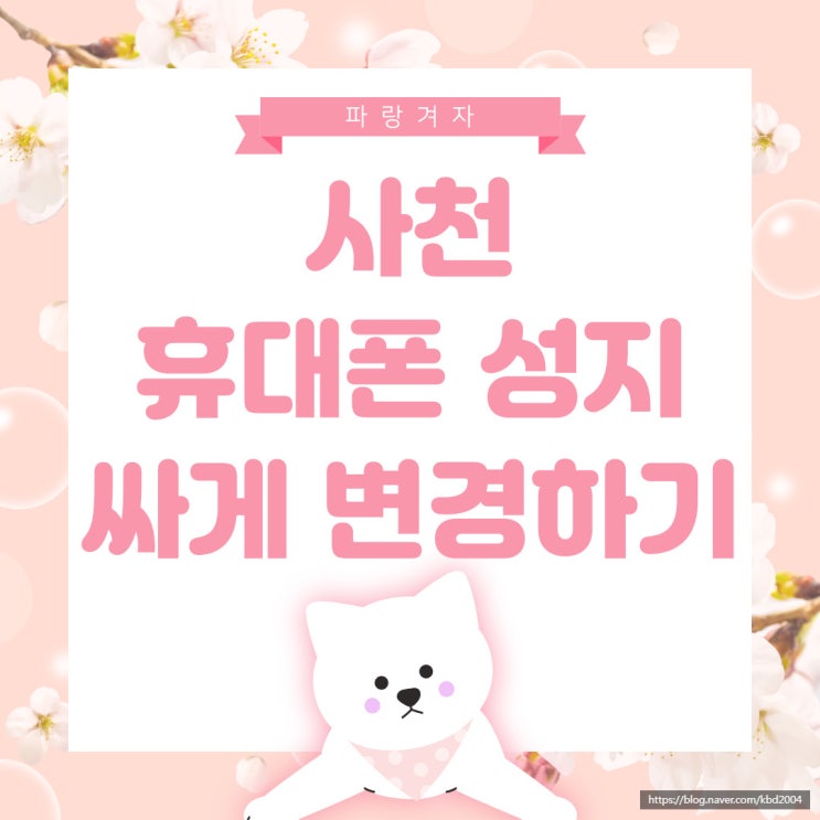 사천 휴대폰 성지 핸드폰 싸게 변경하기 사천 휴대폰 성지 핸드폰 싸게 변경하기